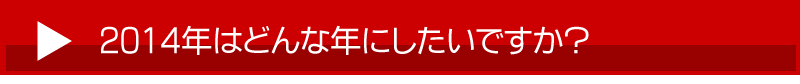 2014年はどんな年にしたいですか？